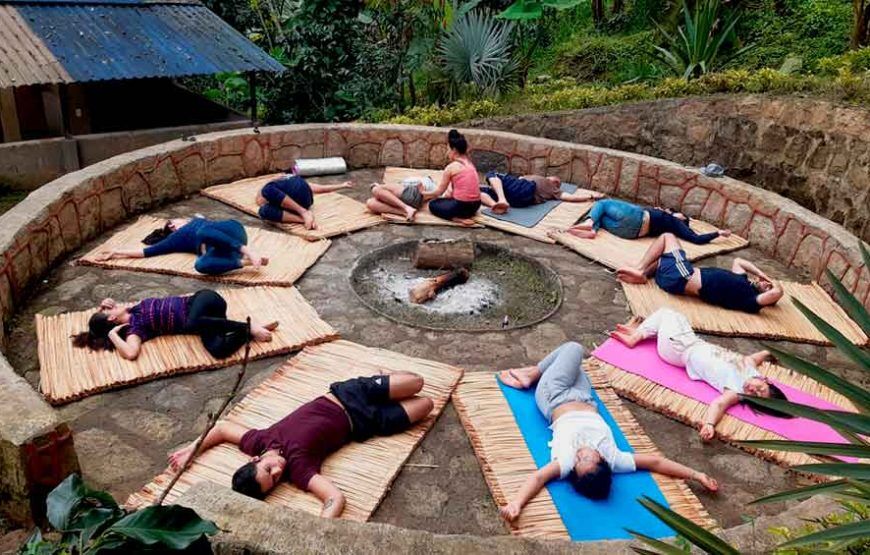Ayahuasca Experience: Retiro de Meditación en Fusagasuga (5 razones para vivirlo)