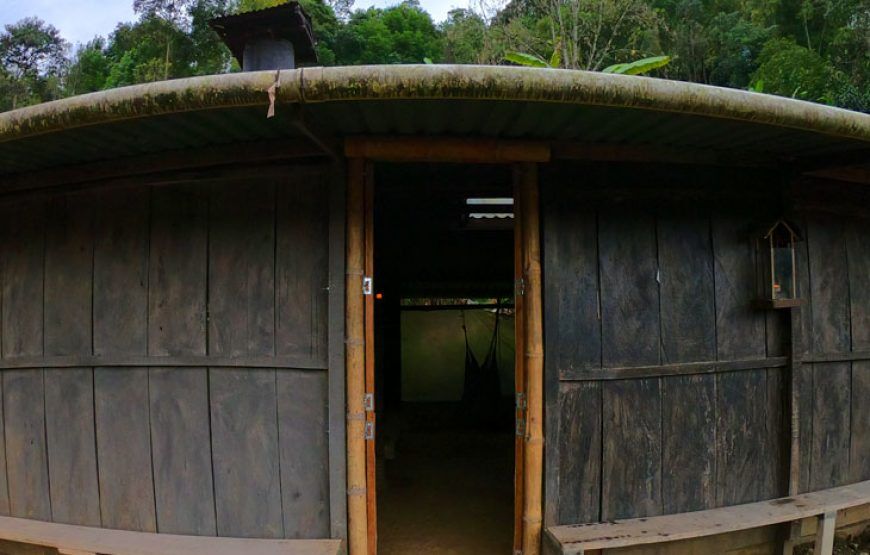 Ayahuasca Experience: Retiro de Meditación en Fusagasuga (5 razones para vivirlo)