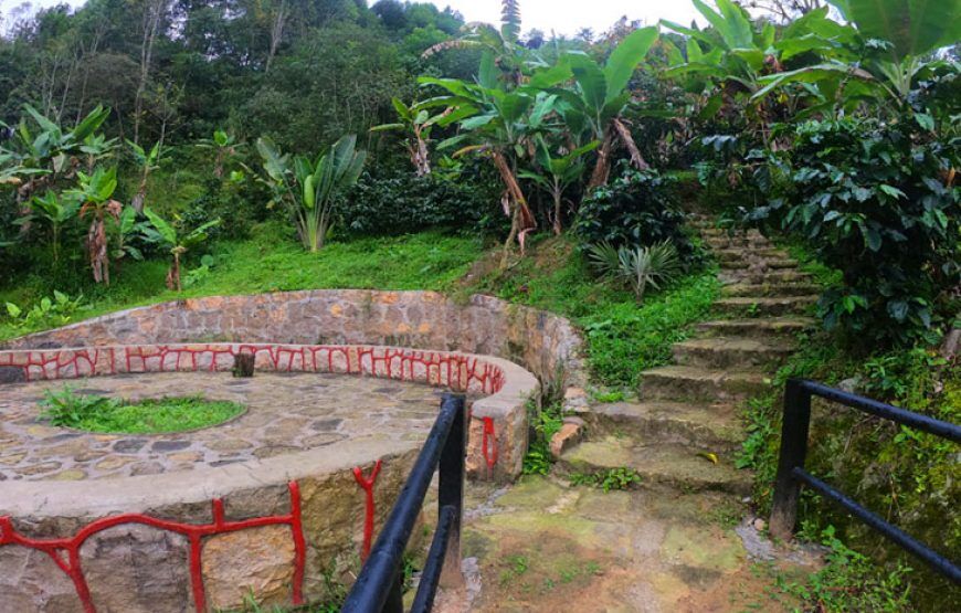Ayahuasca Experience: Retiro de Meditación en Fusagasuga (5 razones para vivirlo)
