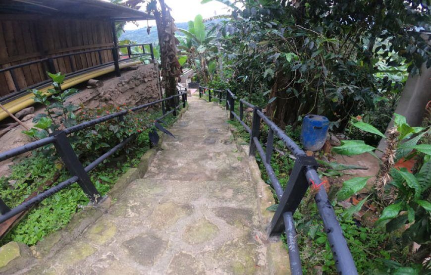 Ayahuasca Experience: Retiro de Meditación en Fusagasuga (5 razones para vivirlo)
