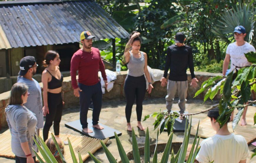 Ayahuasca Experience: Retiro de Meditación en Fusagasuga (5 razones para vivirlo)
