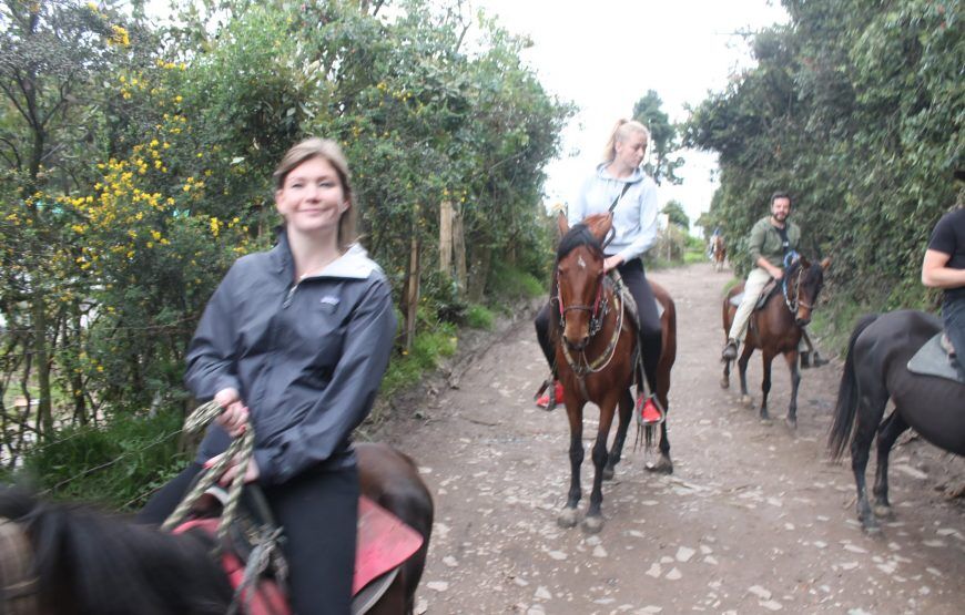 Cabalgatas en la Calera (5 razones para disfrutarlas)