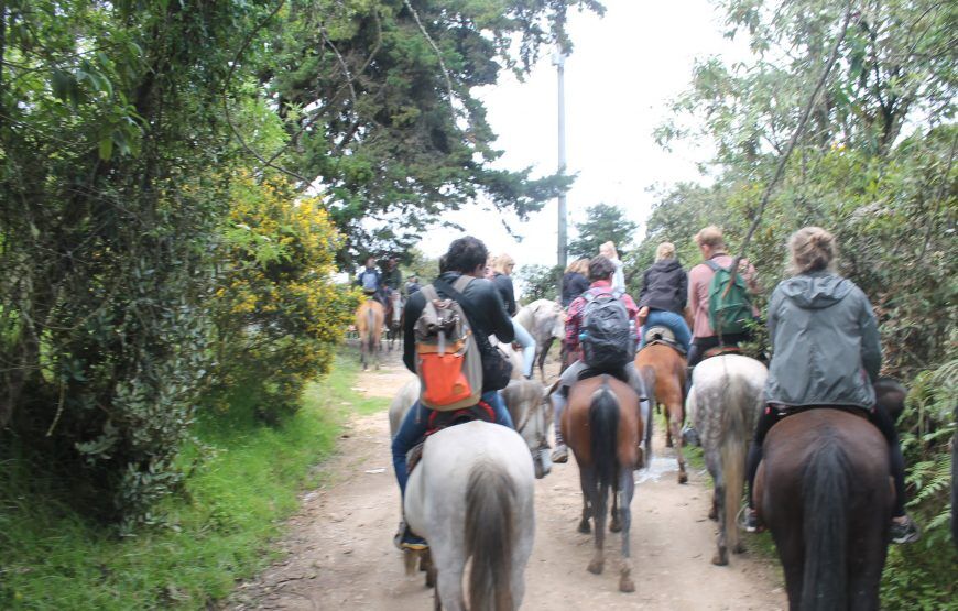 Cabalgatas en la Calera (5 razones para disfrutarlas)