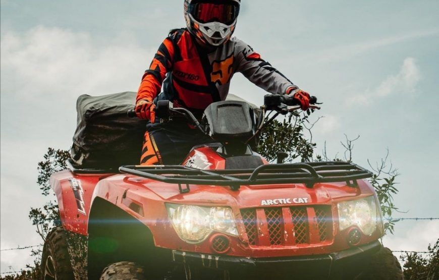 Cuatrimotos en La Calera: Paseo por el Bosque