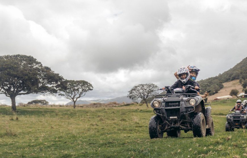 Cuatrimotos en La Calera: Paseo por el Bosque