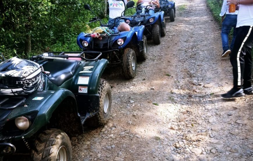 Cuatrimotos en La Calera: Paseo por el Bosque