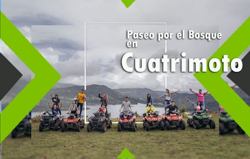 Cuatrimotos en La Calera: Paseo por el Bosque