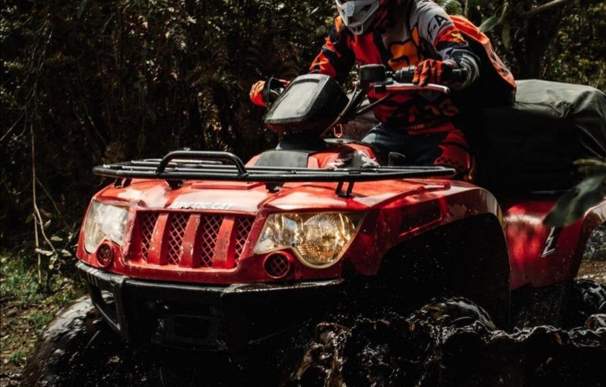 Cuatrimotos en La Calera: Paseo por el Bosque