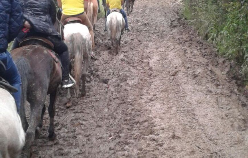Cabalgatas en la Calera (5 razones para disfrutarlas)