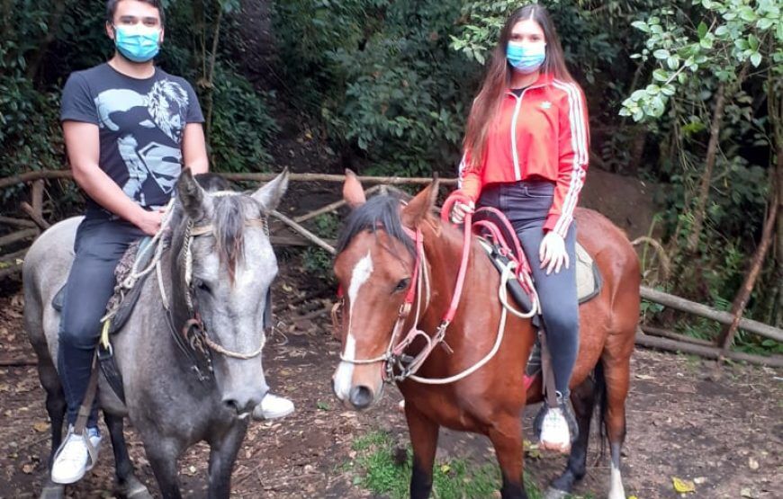 Cabalgatas en la Calera (5 razones para disfrutarlas)