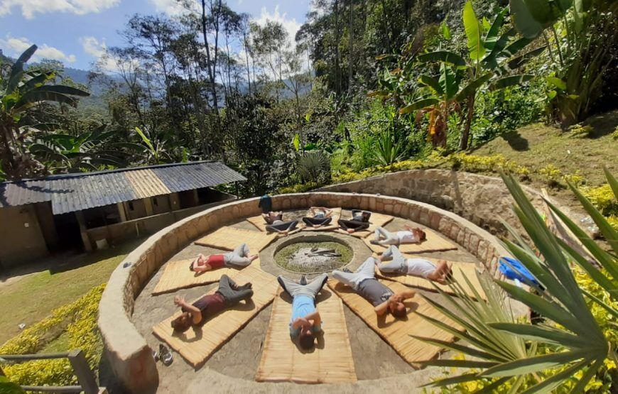 Ayahuasca Experience: Retiro de Meditación en Fusagasuga (5 razones para vivirlo)