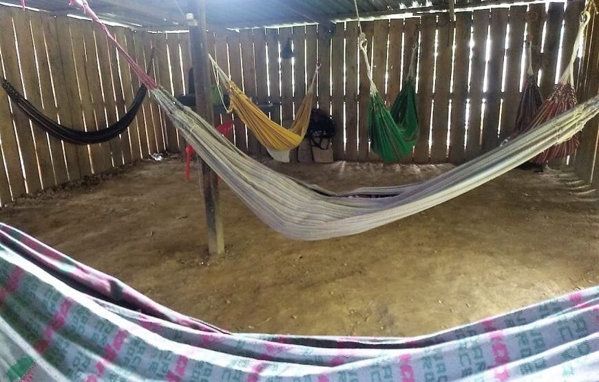 Ayahuasca Experience: Retiro de Meditación en Fusagasuga (5 razones para vivirlo)
