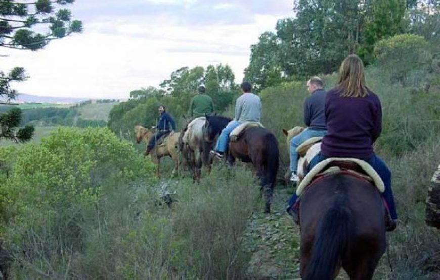 Cabalgatas en la Calera (5 razones para disfrutarlas)