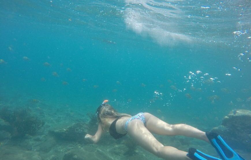 Kayak y Snorquel en Santa Marta (5 razones para hacer este plan)