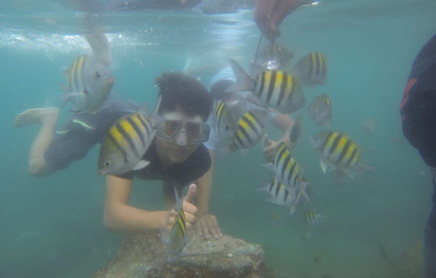 Kayak y Snorquel en Santa Marta (5 razones para hacer este plan)