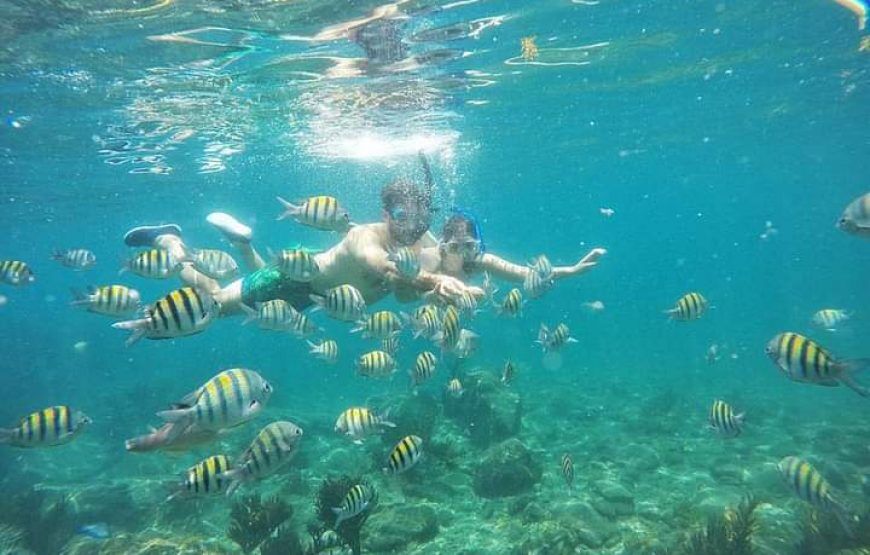 Kayak y Snorquel en Santa Marta (5 razones para hacer este plan)