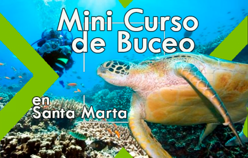 Minicurso de Buceo en Santa Marta