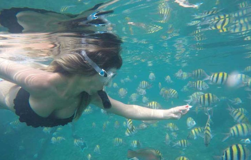 Kayak y Snorquel en Santa Marta (5 razones para hacer este plan)