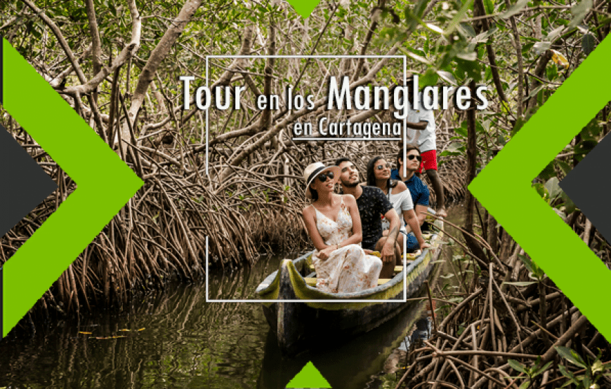 Tour y práctica de pesca en los Manglares, Cartagena (5 razones)