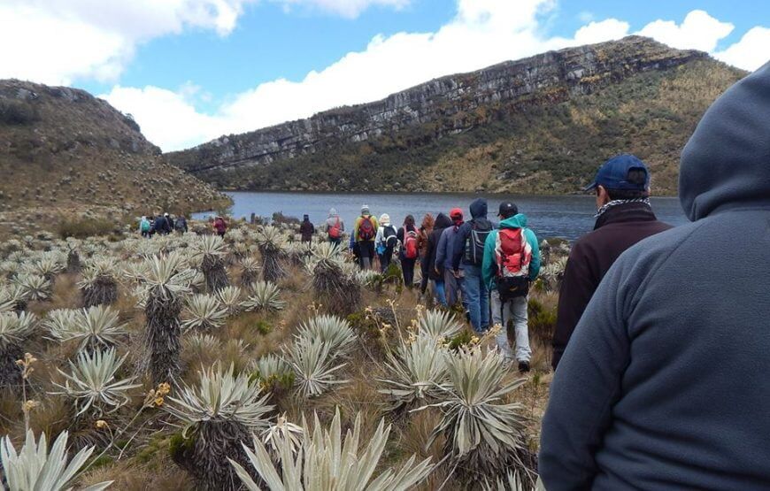 Trekking al Páramo de Sumapaz