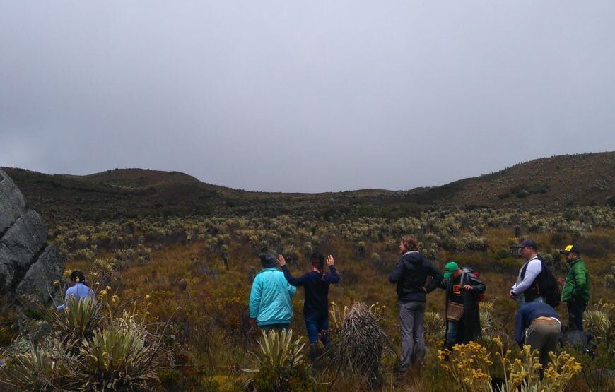 Trekking al Páramo de Sumapaz