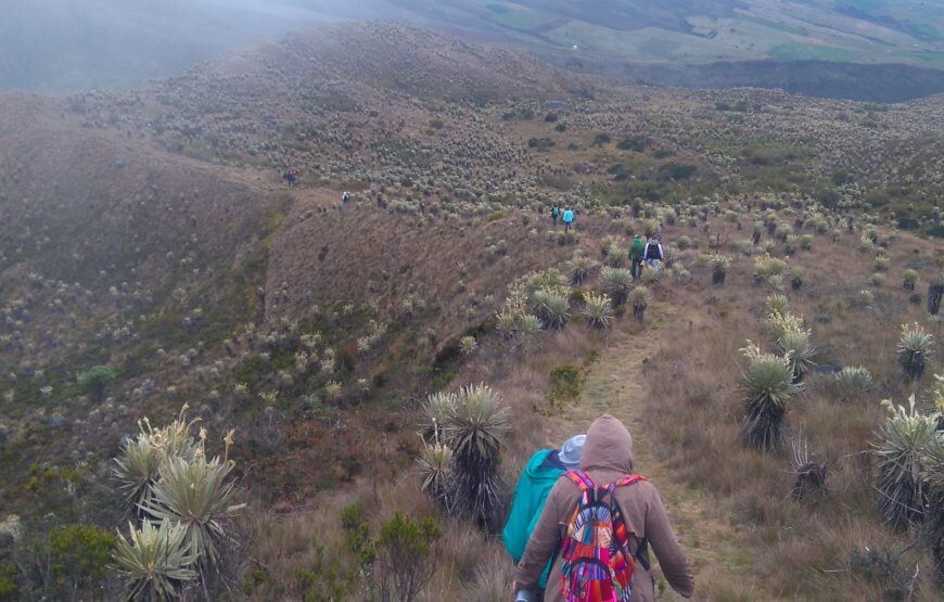 Trekking al Páramo de Sumapaz