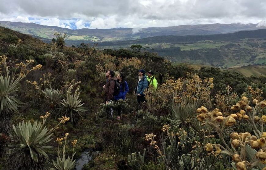 Trekking al Páramo de Sumapaz