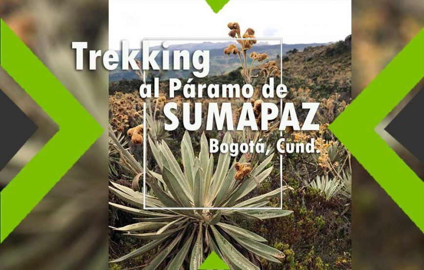 Trekking al Páramo de Sumapaz