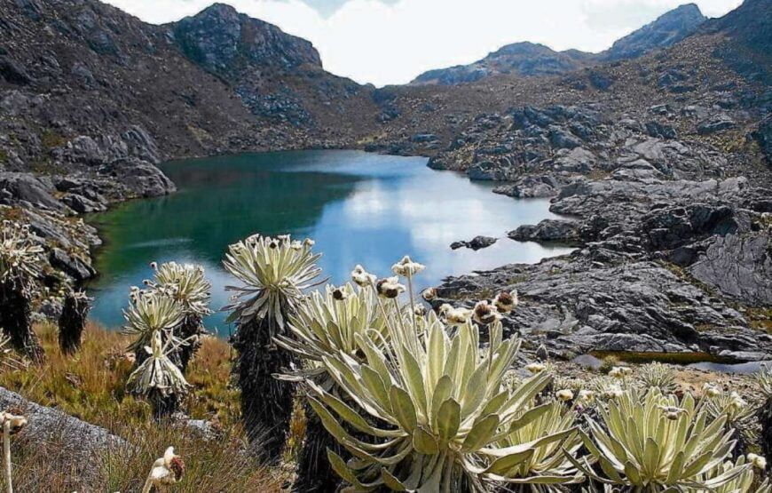 Trekking al Páramo de Sumapaz
