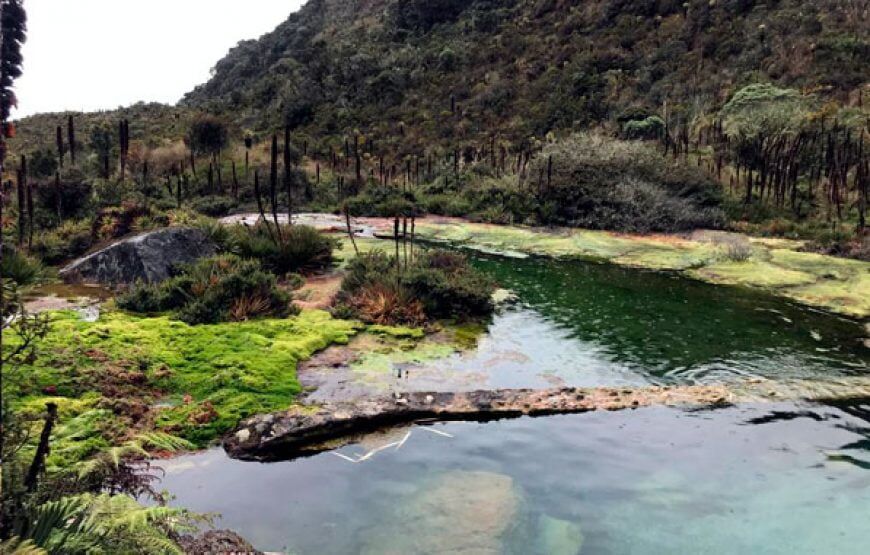Tour Termales La Cabaña Murillo, Tolima