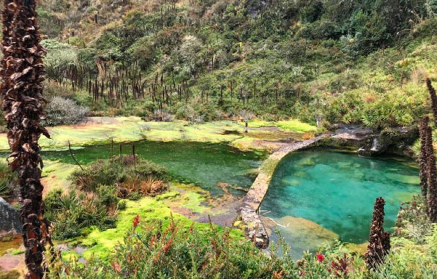 Tour Termales La Cabaña Murillo, Tolima