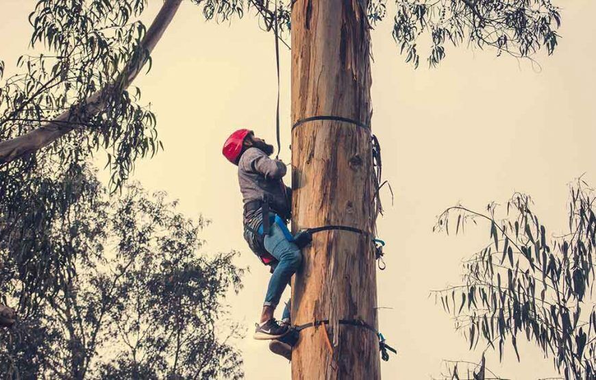 Xtremitos Montearroyo- Actividades para niños (5 razones para visitarlo)