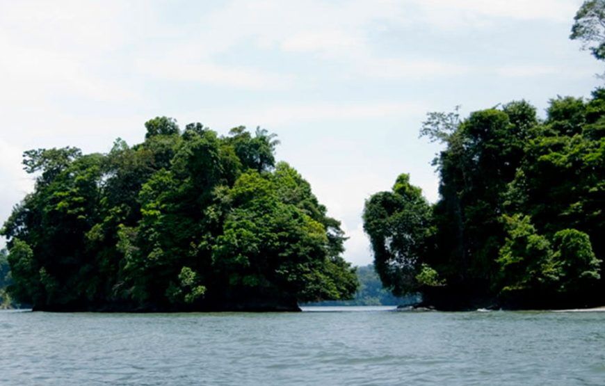 Avistamiento de Ballenas en Colombia | Tour Pacífico Colombiano 2026