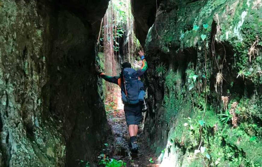 Tour a la Serranía de la Lindosa, San José del Guaviare (5 razones para hacerlo)