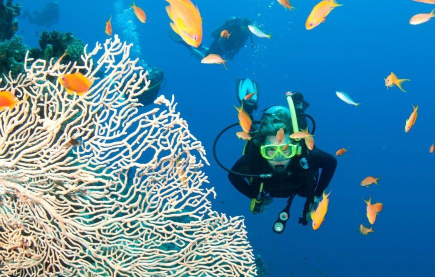 Minicurso de Buceo en Santa Marta