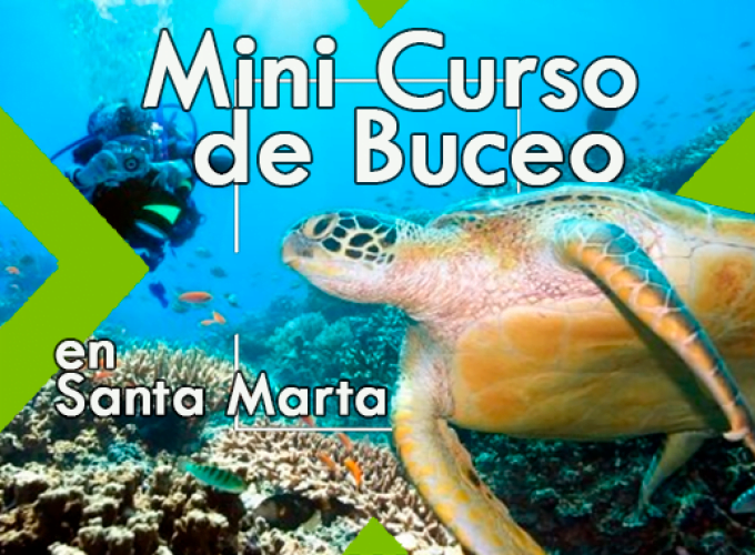 Minicurso de Buceo en Santa Marta