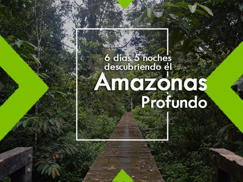 Amazonas profundo - 6 días 5 noches