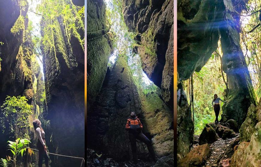 Aventura Peñon Santander y los bosques de pandora (5 razones para vivirla)