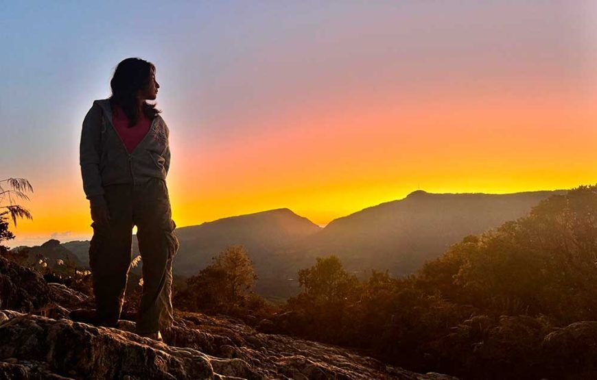 Aventura Peñon Santander y los bosques de pandora (5 razones para vivirla)