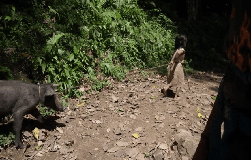 Expedición a Ciudad Perdida en Santa Marta