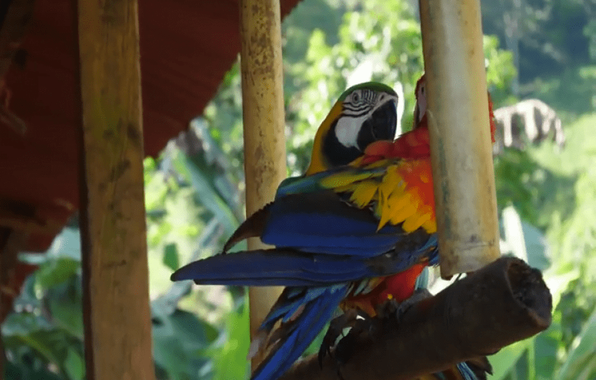 Expedición a Ciudad Perdida en Santa Marta
