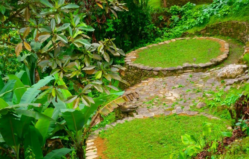 Expedición a Ciudad Perdida en Santa Marta