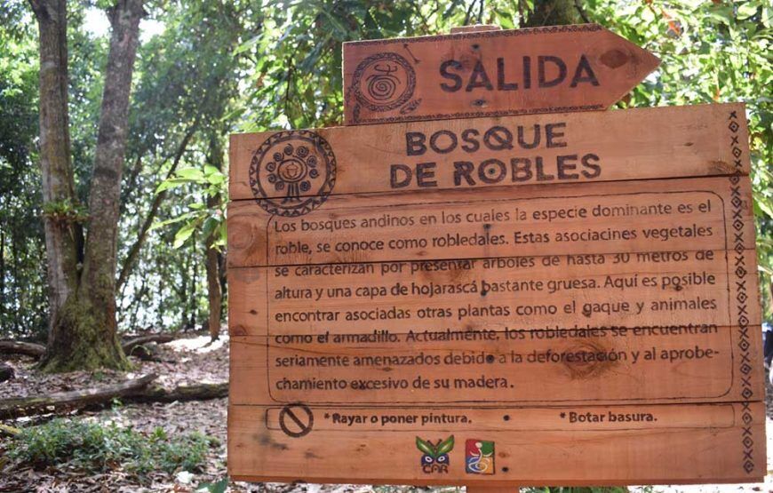 Yoga en la montaña sagrada de la luna (5 razones para hacerlo)