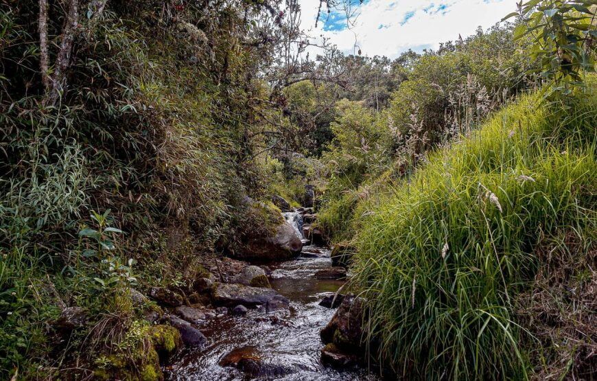 La Gloria Reserva Florestal – La Calera