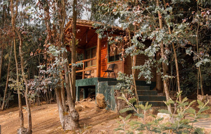 Savieza Life Experience – Adrenaline Colombia