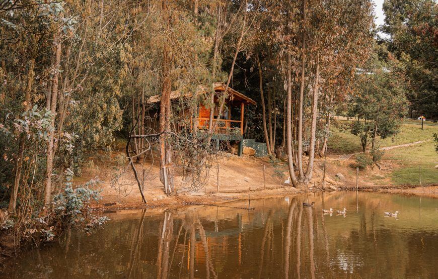 Savieza Life Experience – Adrenaline Colombia
