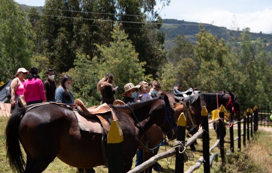 Savieza Life Experience – Adrenaline Colombia