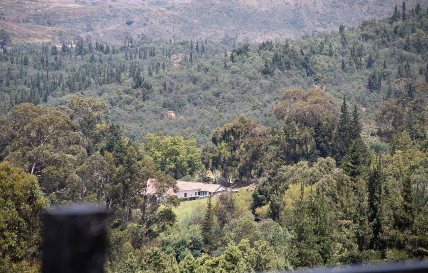 Savieza Life Experience – Adrenaline Colombia