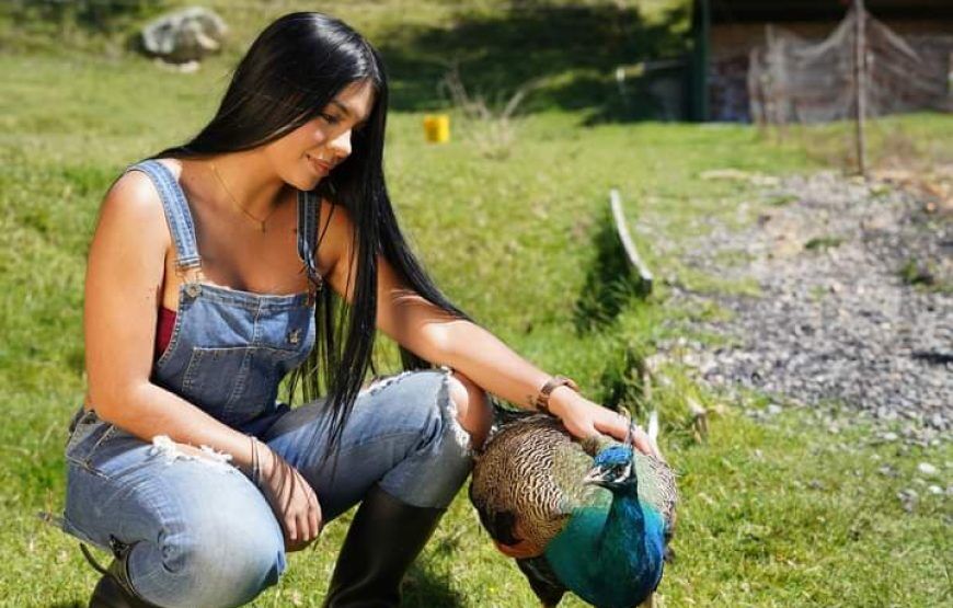 Savieza Life Experience – Adrenaline Colombia