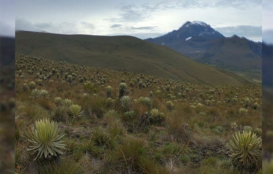 Expedición al Paramillo del Quindío